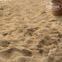 фото из отзыва ID 2734929