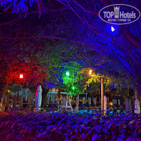 фото из отзыва ID 2734928