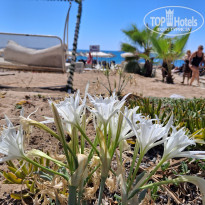 фото из отзыва ID 2734928