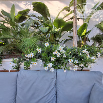 фото из отзыва ID 2734928