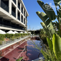 фото из отзыва ID 2734922