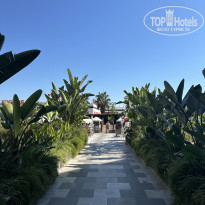 фото из отзыва ID 2734922