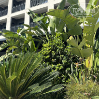 фото из отзыва ID 2734922