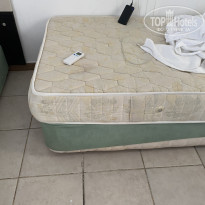 фото из отзыва ID 2734938