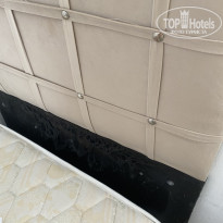 фото из отзыва ID 2734938