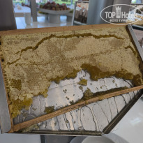 фото из отзыва ID 2734942