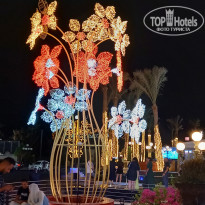 фото из отзыва ID 2734945