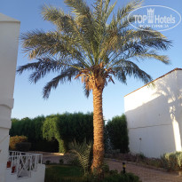 фото из отзыва ID 2734945