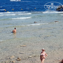 фото из отзыва ID 2734945