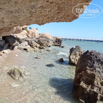 фото из отзыва ID 2734945