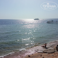 фото из отзыва ID 2734945