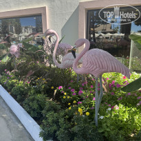 фото из отзыва ID 2734950