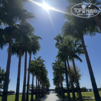 фото из отзыва ID 2734950