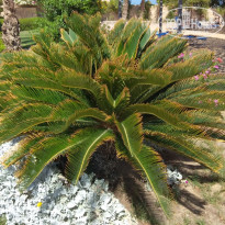 фото из отзыва ID 2734964