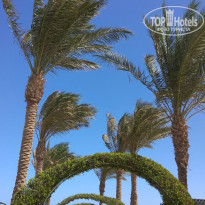 фото из отзыва ID 2734964