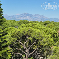 фото из отзыва ID 2734934