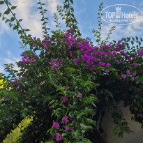 фото из отзыва ID 2734934