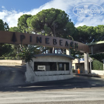 фото из отзыва ID 2734934