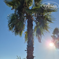 фото из отзыва ID 2734934