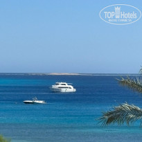 фото из отзыва ID 2734954