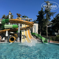 фото из отзыва ID 2734985