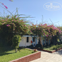 фото из отзыва ID 2734787