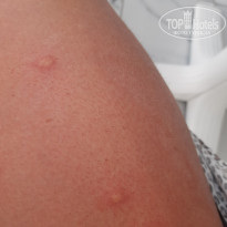 фото из отзыва ID 2734977