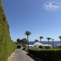 фото из отзыва ID 2735003