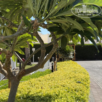 фото из отзыва ID 2735003