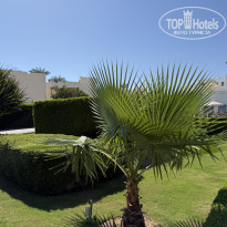 фото из отзыва ID 2735003