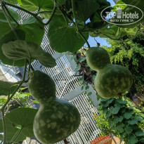 фото из отзыва ID 2735013