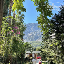 фото из отзыва ID 2735016