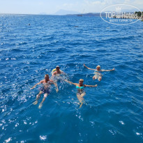 фото из отзыва ID 2735014