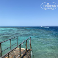 фото из отзыва ID 2735024