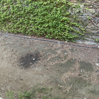 фото из отзыва ID 2735015