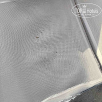 фото из отзыва ID 2735031