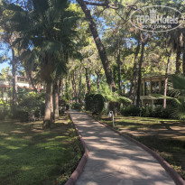 фото из отзыва ID 2735035