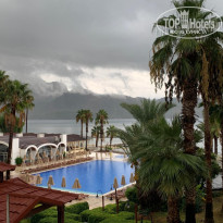 фото из отзыва ID 2735042