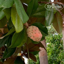 фото из отзыва ID 2735042