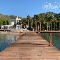 фото из отзыва ID 2735042