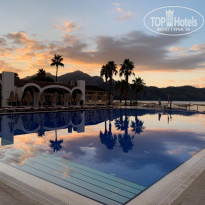 фото из отзыва ID 2735042