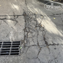 фото из отзыва ID 2735043