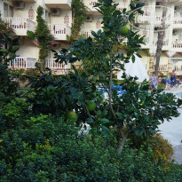 фото из отзыва ID 2735052