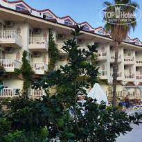 фото из отзыва ID 2735052