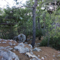 фото из отзыва ID 2735052