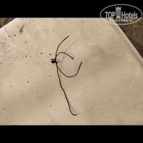 фото из отзыва ID 2734125