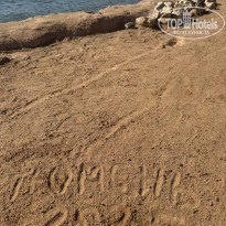 фото из отзыва ID 2735088