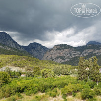 фото из отзыва ID 2735094