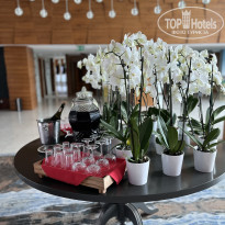 фото из отзыва ID 2735100