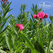 фото из отзыва ID 2735113